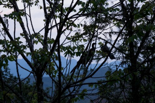 Nature reserve Aldea Luna, Jujuy Argentina